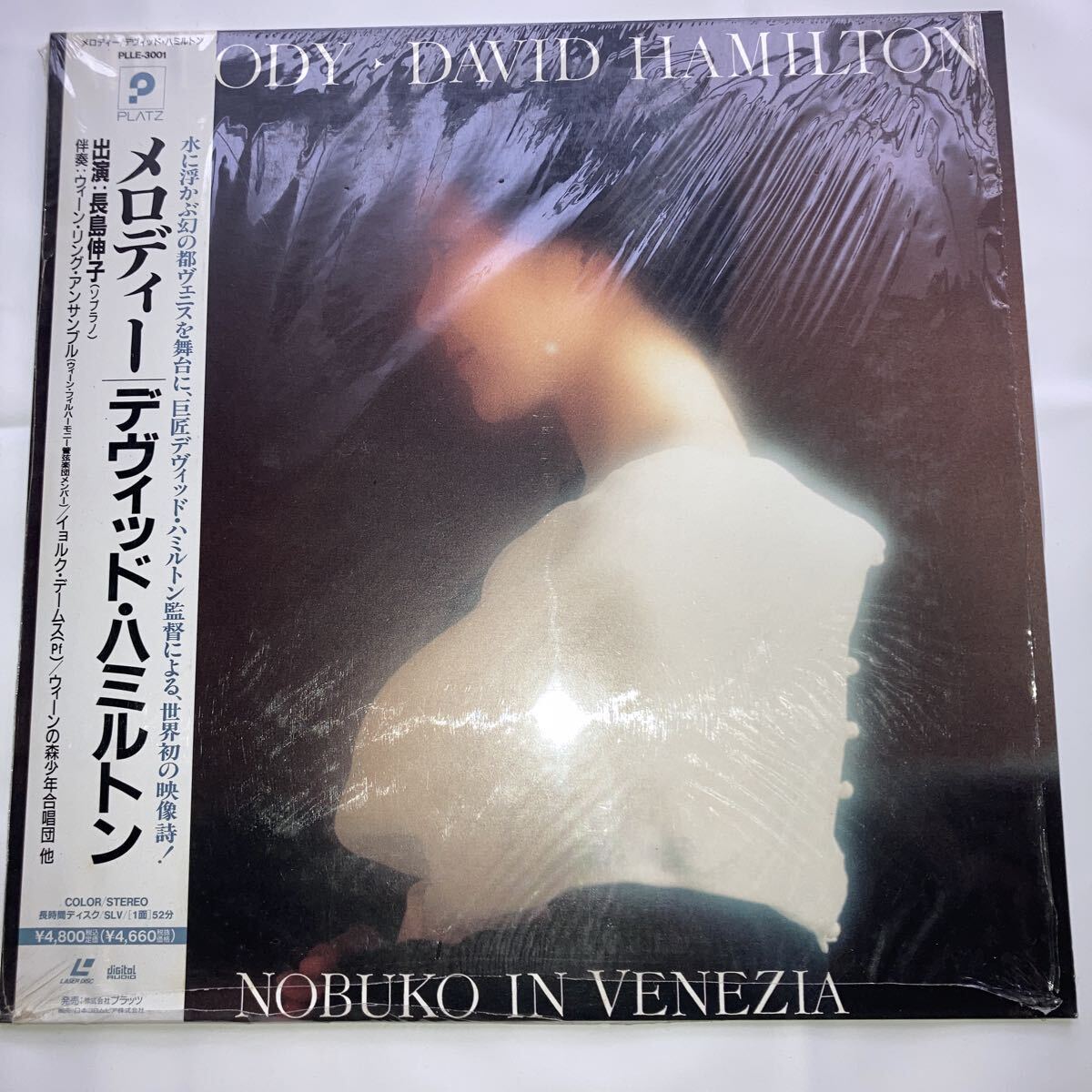 2026年最新】Yahoo!オークション -david hamilton デビッドハミルトン