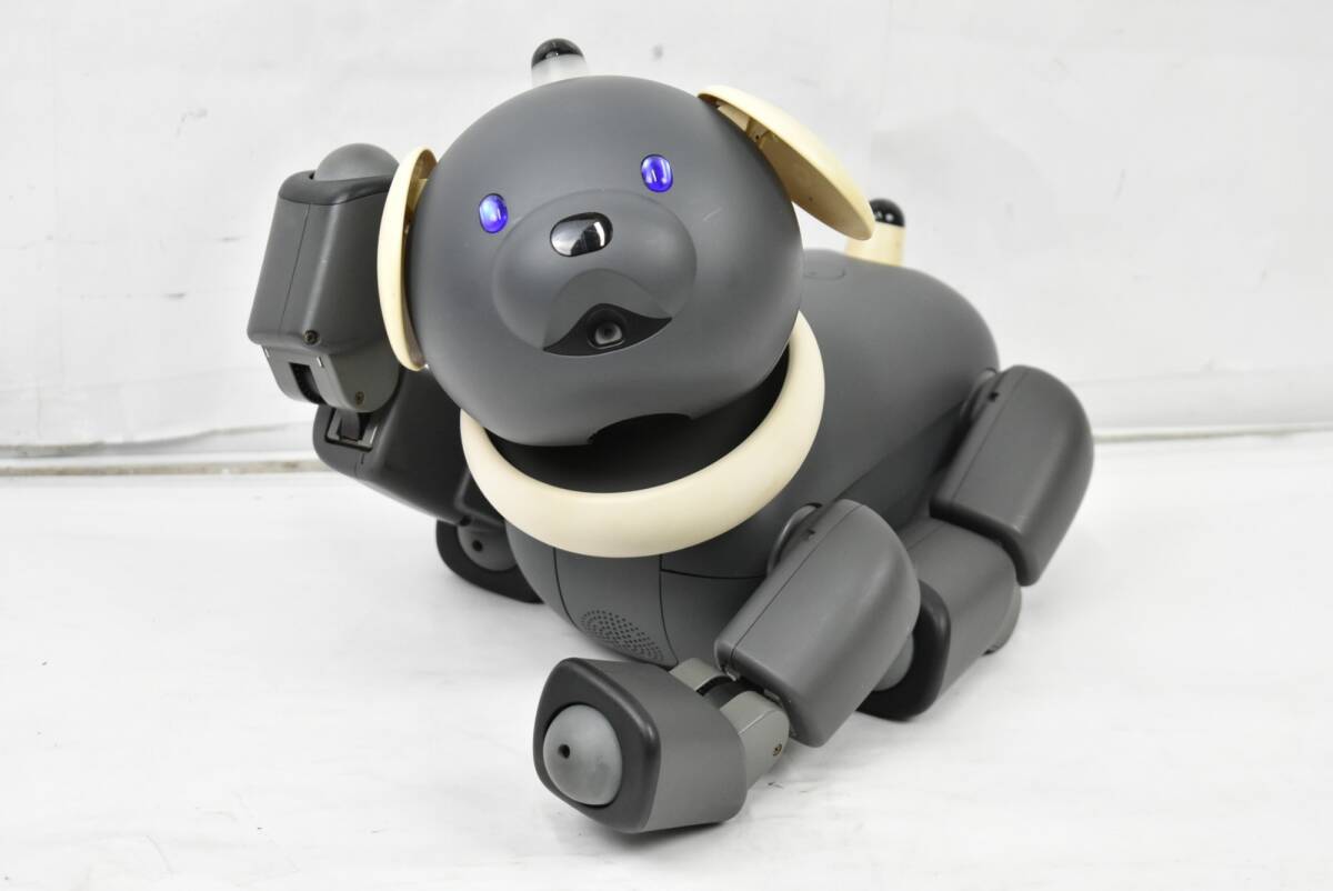 Yahoo!オークション -「マカロン」(AIBO) (バーチャルペット)の落札