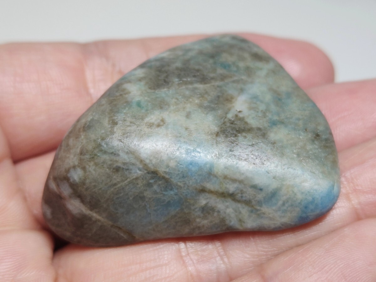 Yahoo!オークション -「翡翠 コン沢」の落札相場・落札価格