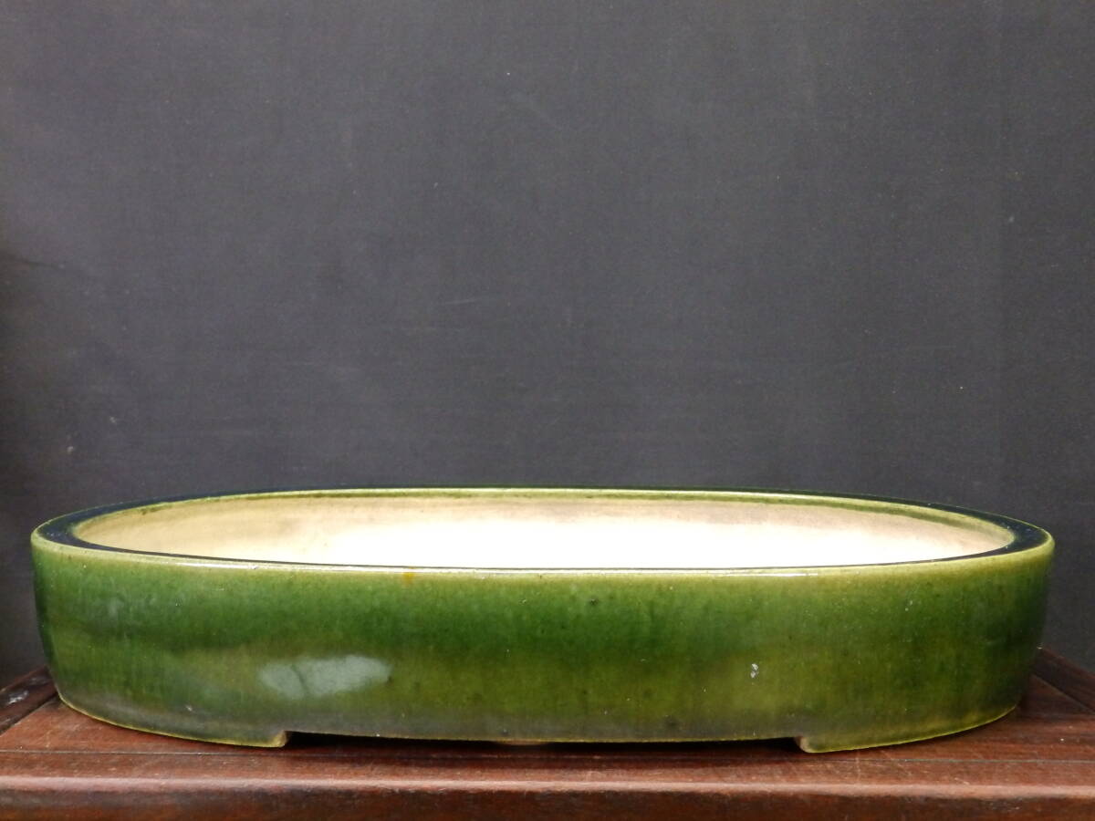 Yahoo!オークション -「春松」(盆栽) の落札相場・落札価格