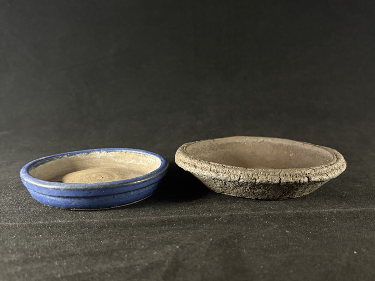 Yahoo!オークション -「小松泉」(盆栽用具) (盆栽)の落札相場・落札価格