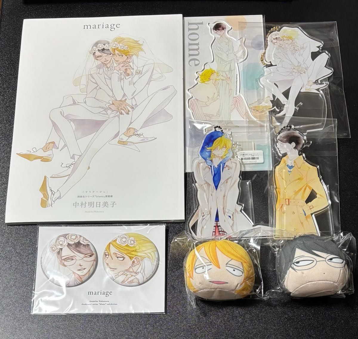 OPERA展 中村明日美子 アクリルスタンド blanc 同級生 home アクスタ