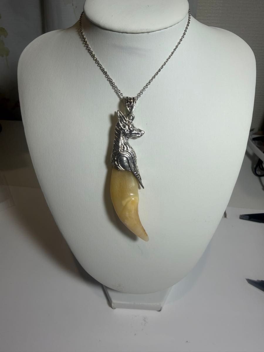 熊牙 前牙 熊歯 熊の牙 ツキノワグマ牙 ネックレス キーホルダー 送料