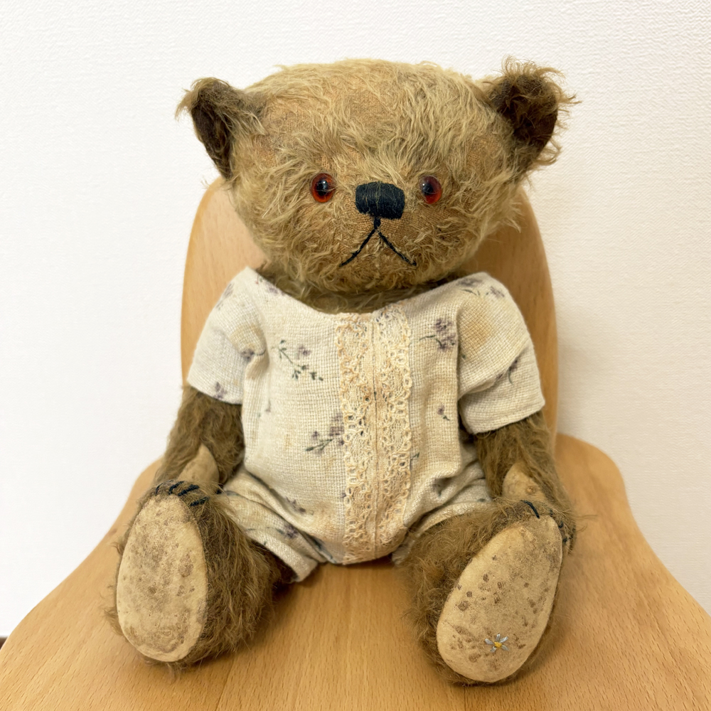 Yahoo!オークション -「フォーゲットミーノット」(テディベア