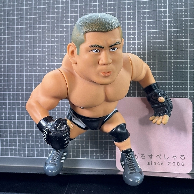 2026年最新】Yahoo!オークション -#藤田和之の中古品・新品・未使用品一覧