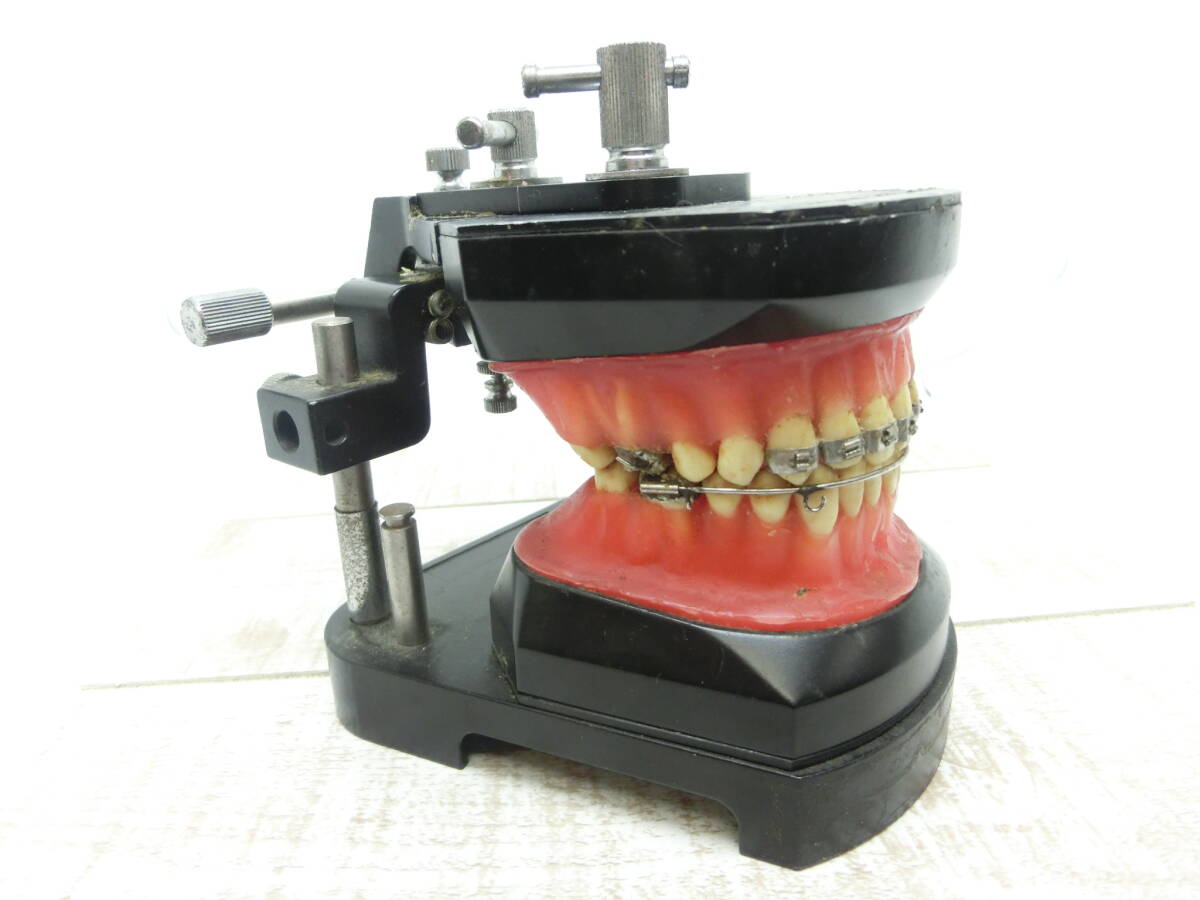 Yahoo!オークション -「タイポドント」(その他) (オーラルケア)の落札