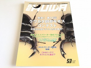 2026年最新】Yahoo!オークション -ビークワの中古品・新品・未使用品一覧
