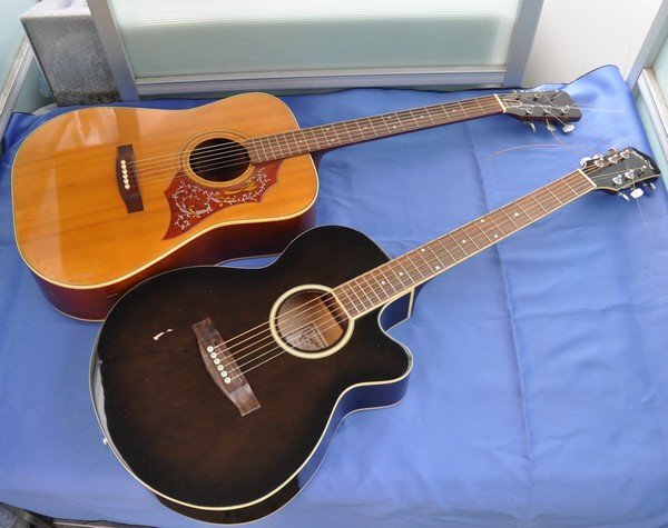 Yahoo!オークション -「セピアクルー エレアコ」の落札相場・落札価格