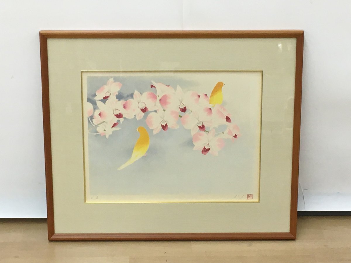 2026年最新】Yahoo!オークション -加倉井和夫の中古品・新品・未使用品一覧