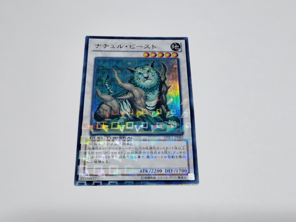 2026年最新】Yahoo!オークション -ナチュルビースト dtcの中古品・新品