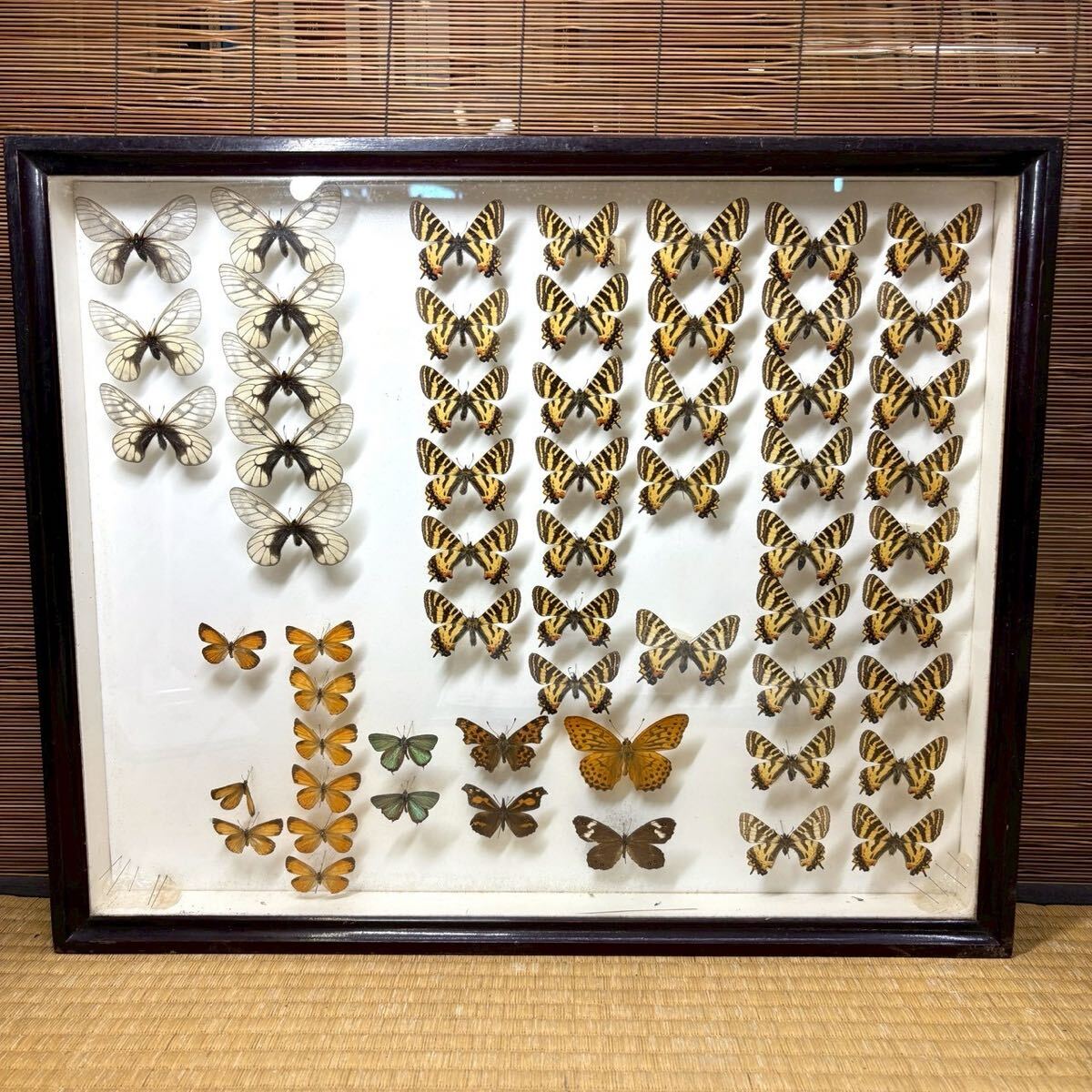 2026年最新】Yahoo!オークション -ドイツ箱の中古品・新品・未使用品一覧