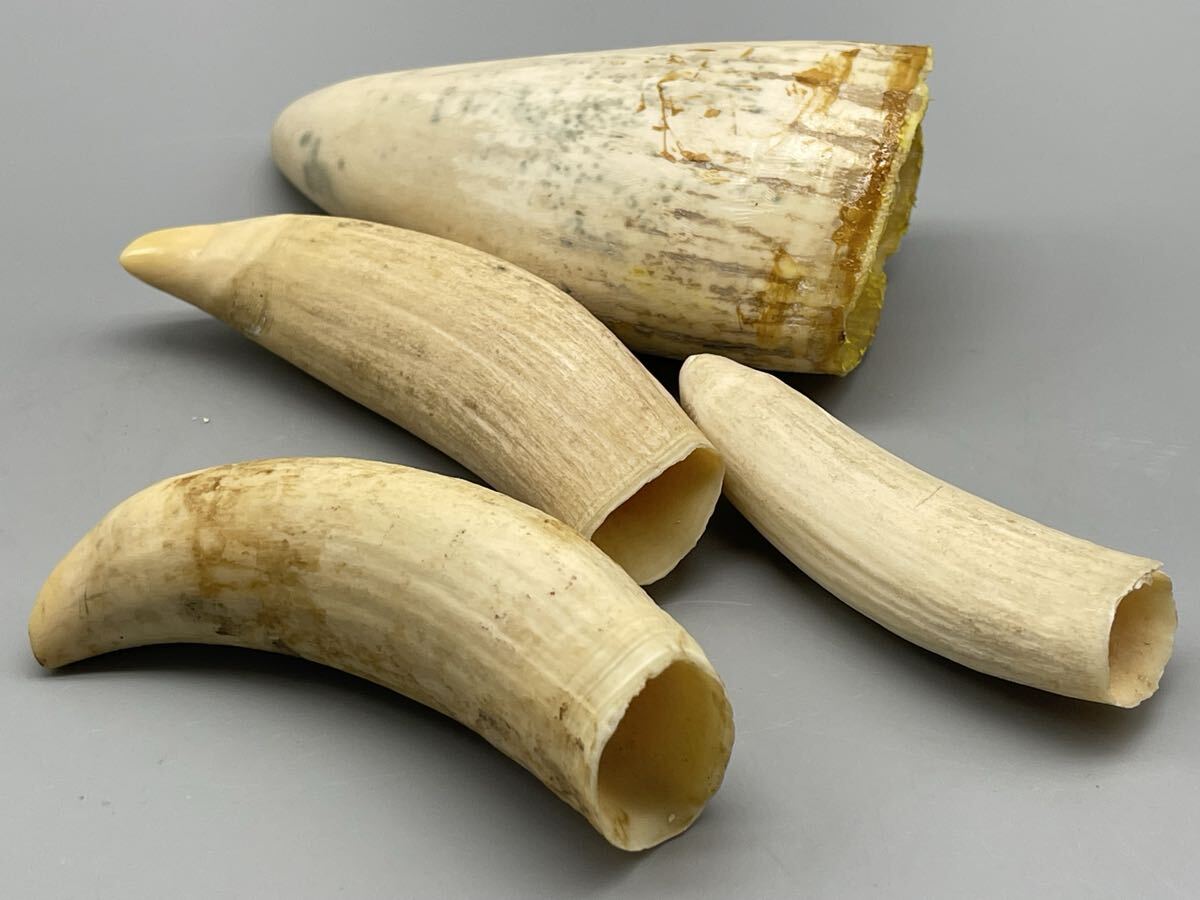 Yahoo!オークション -「クジラ 歯」(根付) (東洋彫刻)の落札相場・落札価格