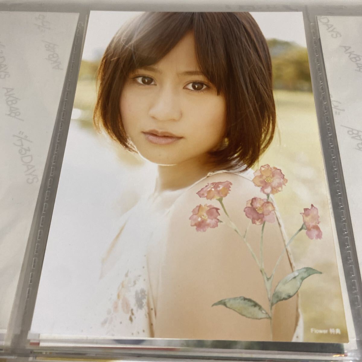 2026年最新】Yahoo!オークション -flower 前田敦子 生写真の中古品