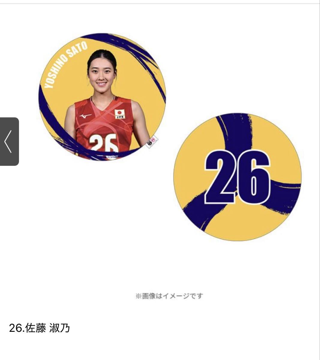 Yahoo!オークション -「佐藤」(その他) (バレーボール)の落札相場