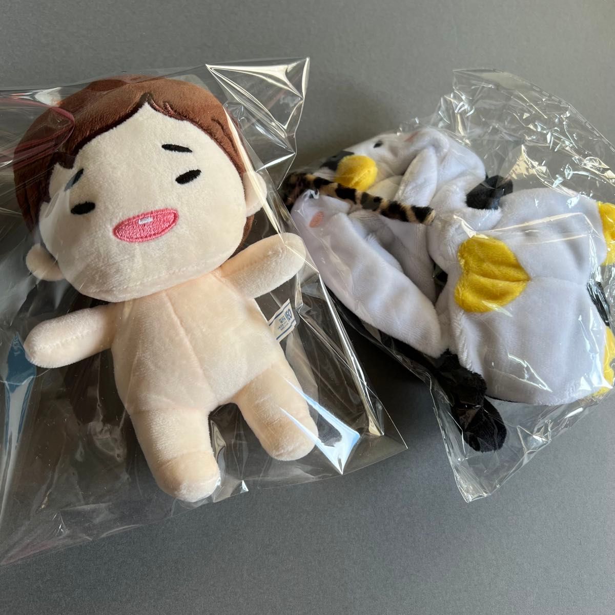 2PM ジュノ ファンミ FAN MEETING STUNNING US PENPEN ボイス