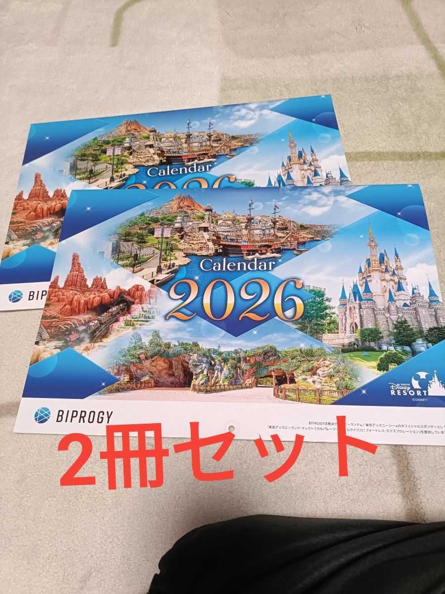 東京ディズニーリゾート カレンダー 2026 非売品 2部セット｜Yahoo