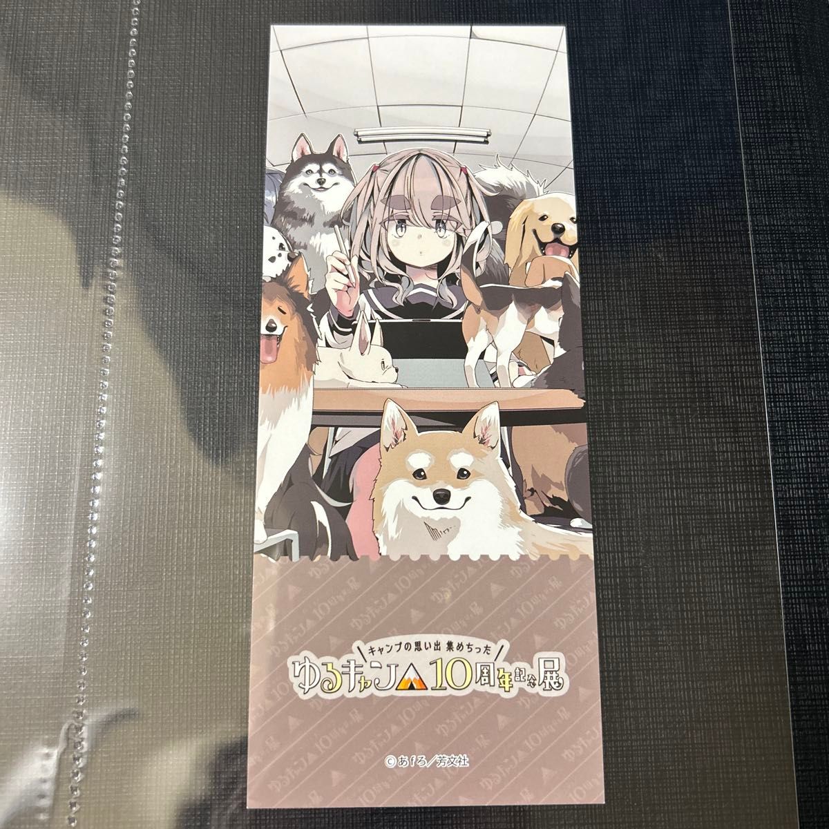 ゆるキャン 』アートマグネット 全6種 ゆるキャン 10周年記念展 限定