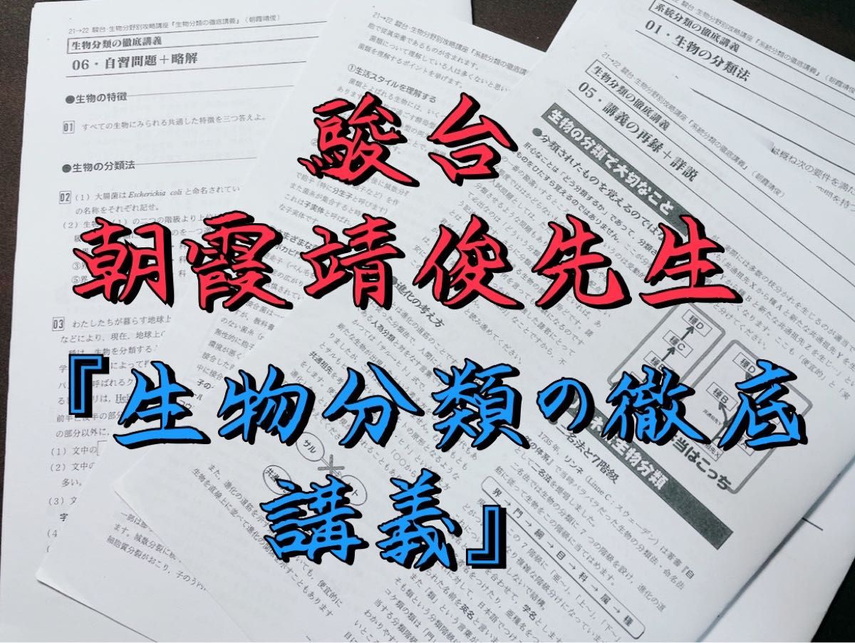駿台 生物科 小出綾希先生 記述・論述対策プリントセット 鉄緑会
