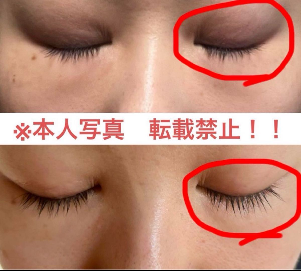 mysti'Que ] ミスティーク 高濃度卵プラセンタ由来 まつ毛美容液 6mL