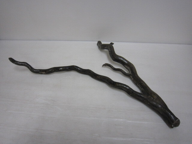 Yahoo!オークション -「海松 深海松」の落札相場・落札価格