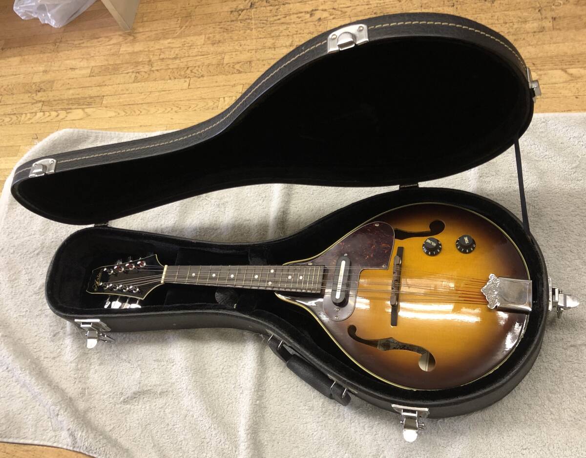 Yahoo!オークション -「aria」(マンドリン) (弦楽器)の落札相場・落札価格