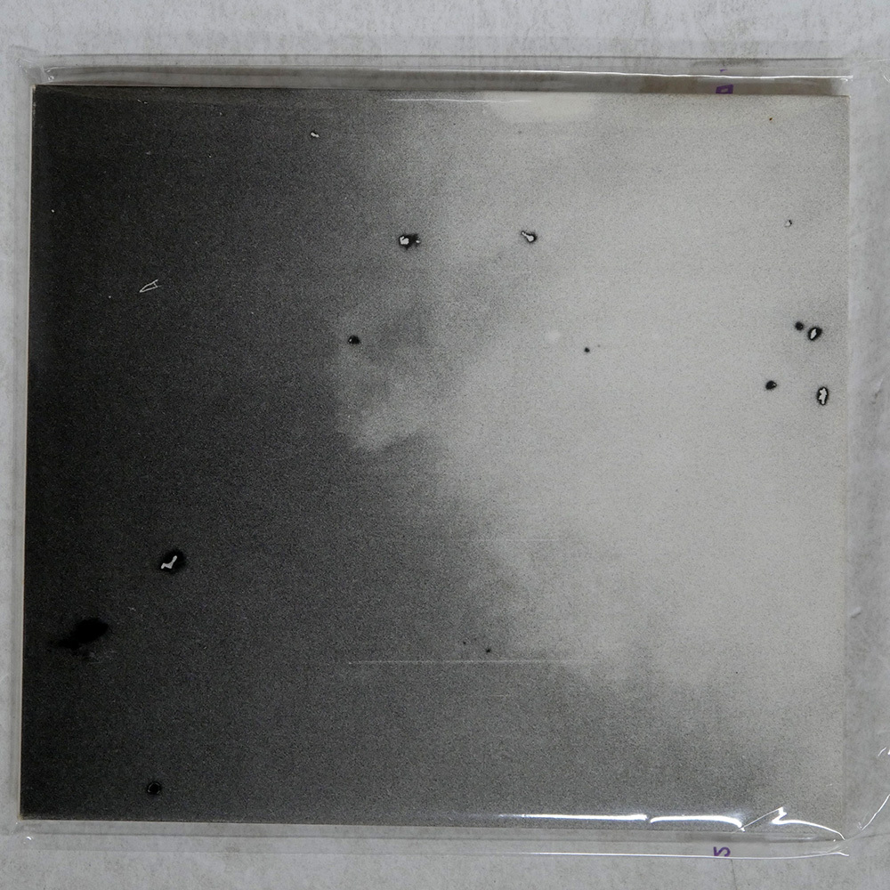 2026年最新】Yahoo!オークション -森は生きている グッドナイトの中古