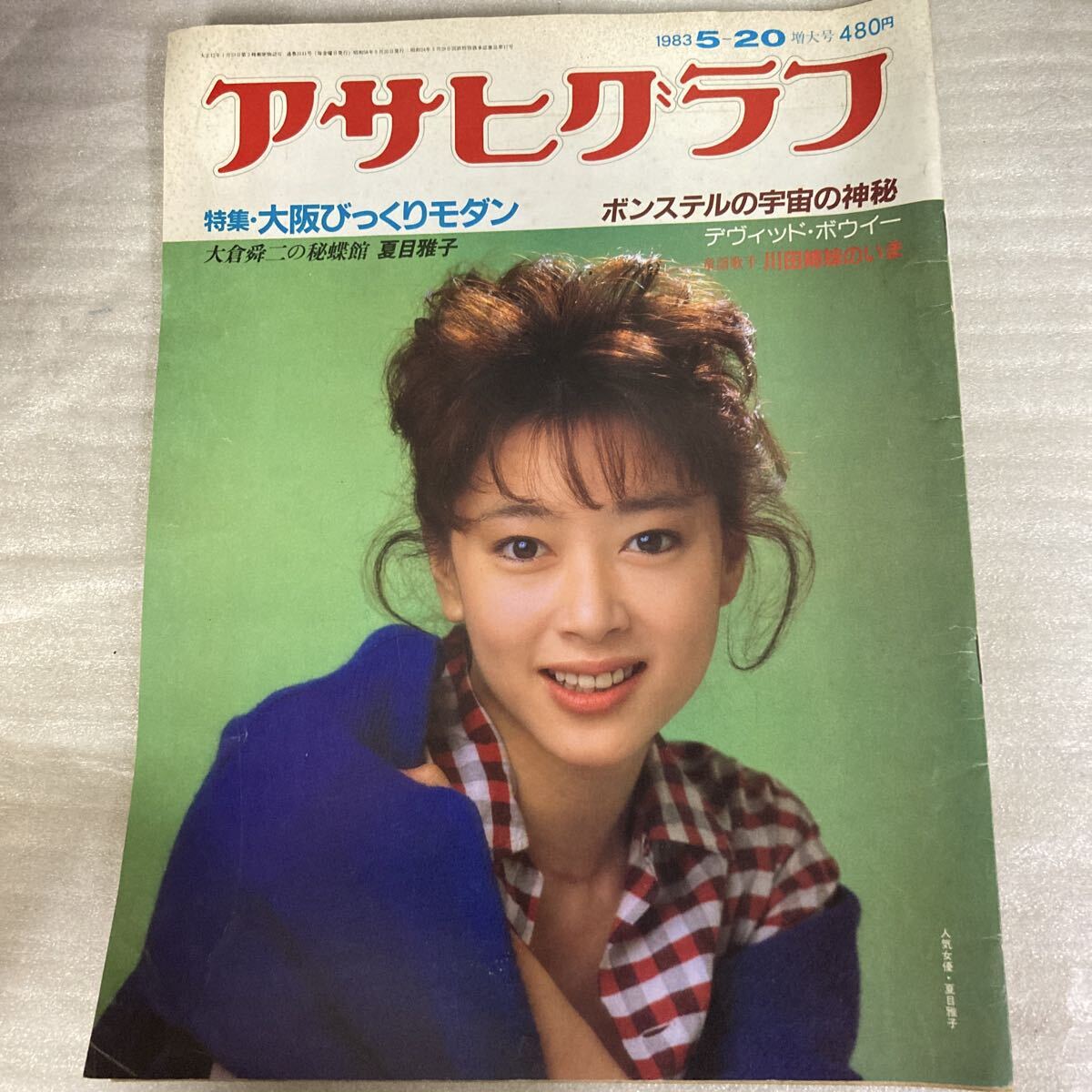 アサヒグラフ 1993年6月20日号 アサヒグラフ 1993年6月20日号