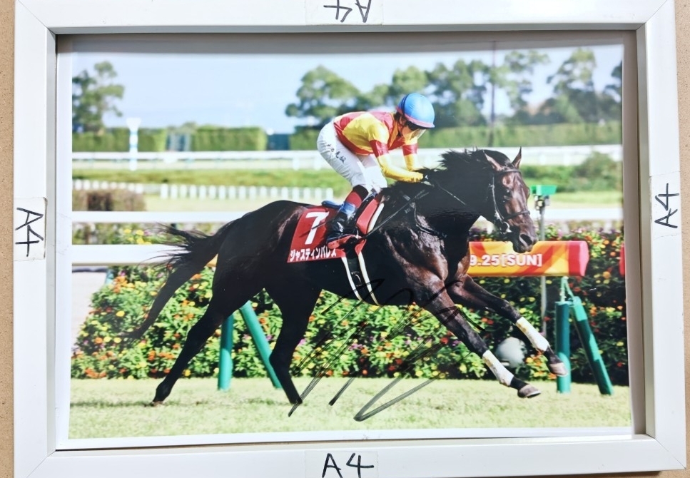 Yahoo!オークション -「ルメール サイン」(その他) (競馬)の落札相場