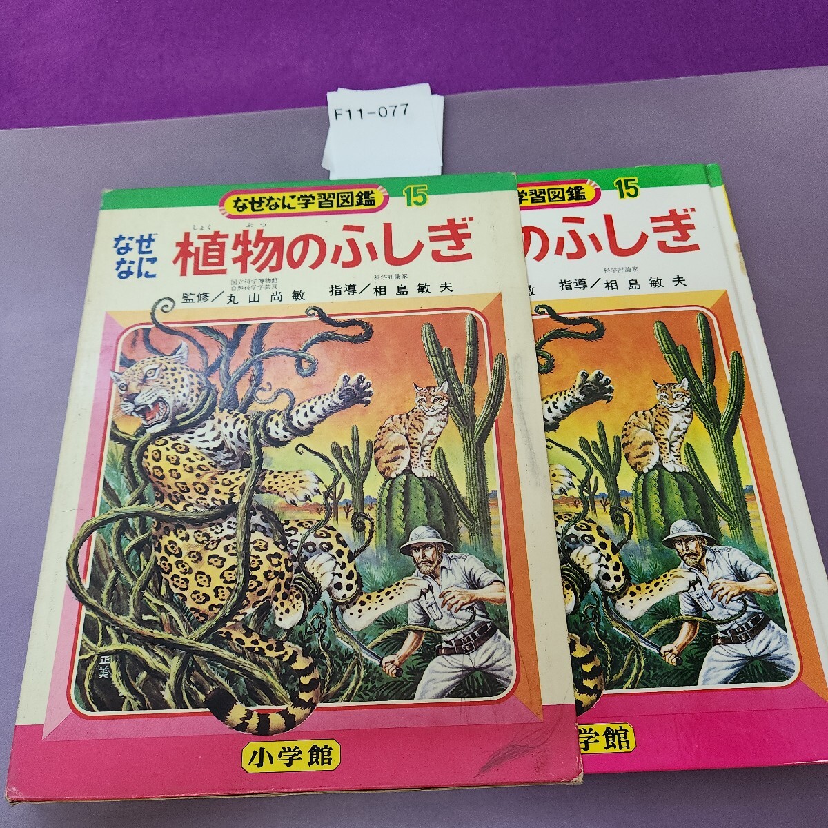 2026年最新】Yahoo!オークション -小学館 なぜなに学習図鑑の中古品