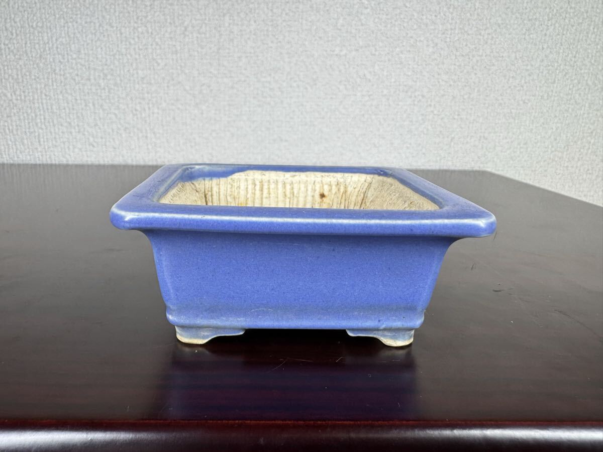 Yahoo!オークション -「盆栽鉢 堀江美功」の落札相場・落札価格