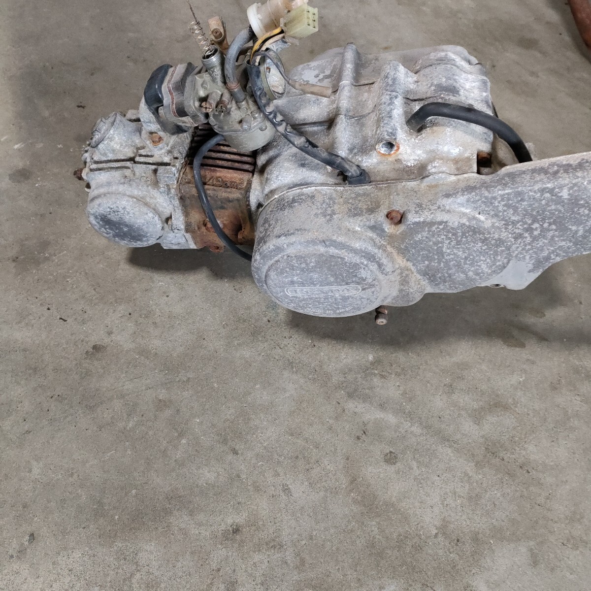 Yahoo!オークション -「シャリー 角目」(エンジン本体) (ホンダ用)の