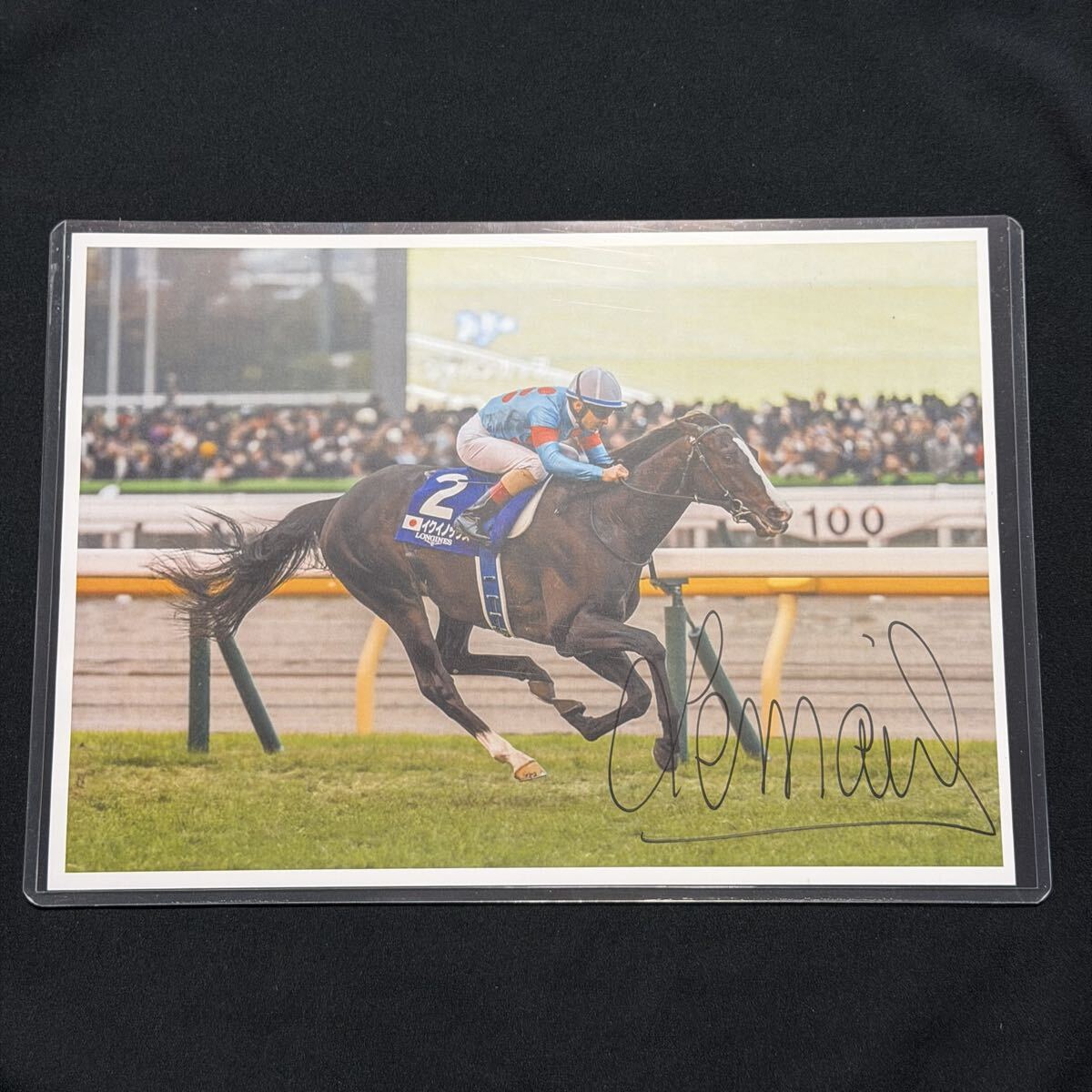 Yahoo!オークション -「イクイノックス ゼッケン」の落札相場・落札価格