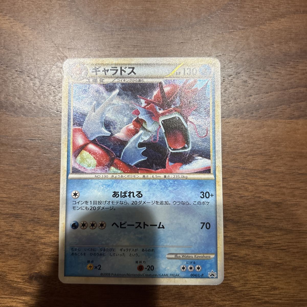 Yahoo!オークション -「ギャラドス 色違い」(ポケモンカードゲーム