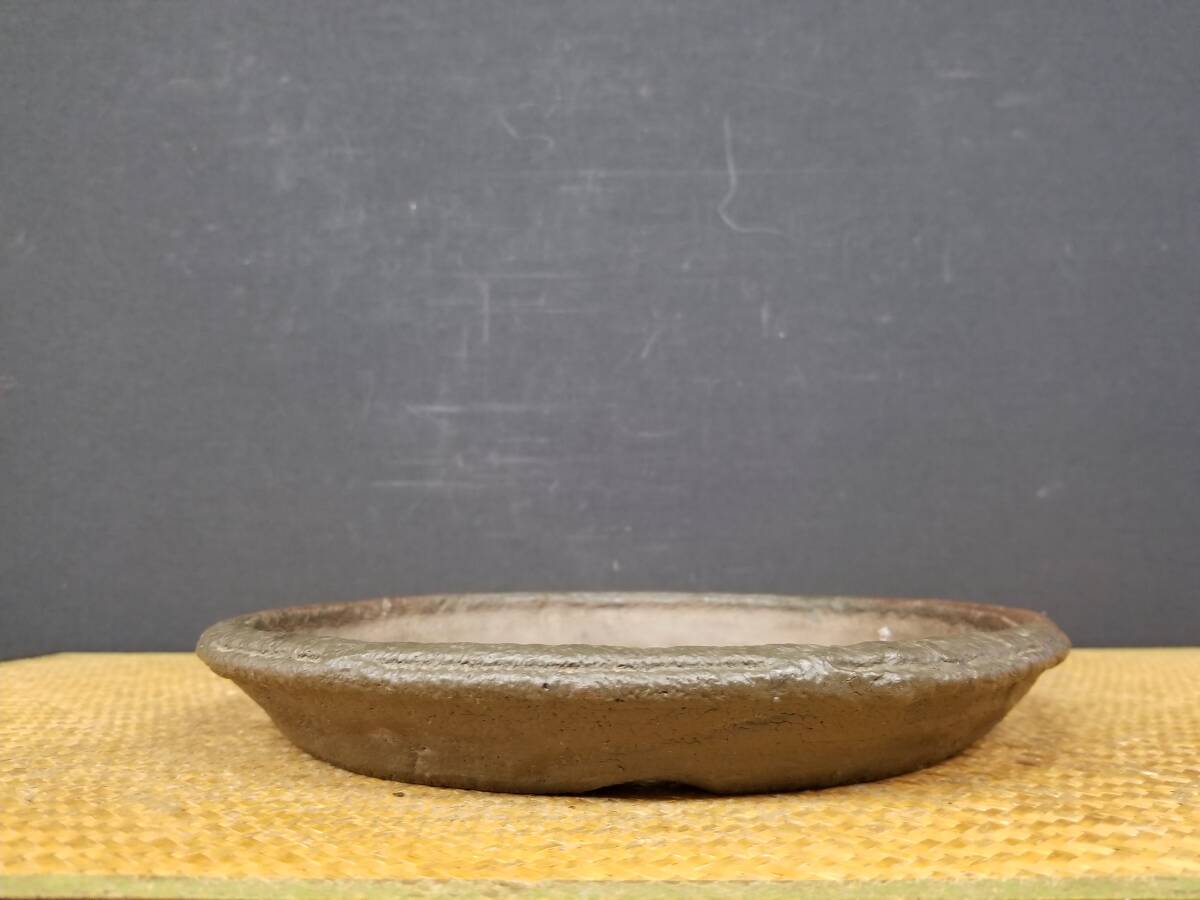 Yahoo!オークション -「小松泉」(盆栽用具) (盆栽)の落札相場・落札価格