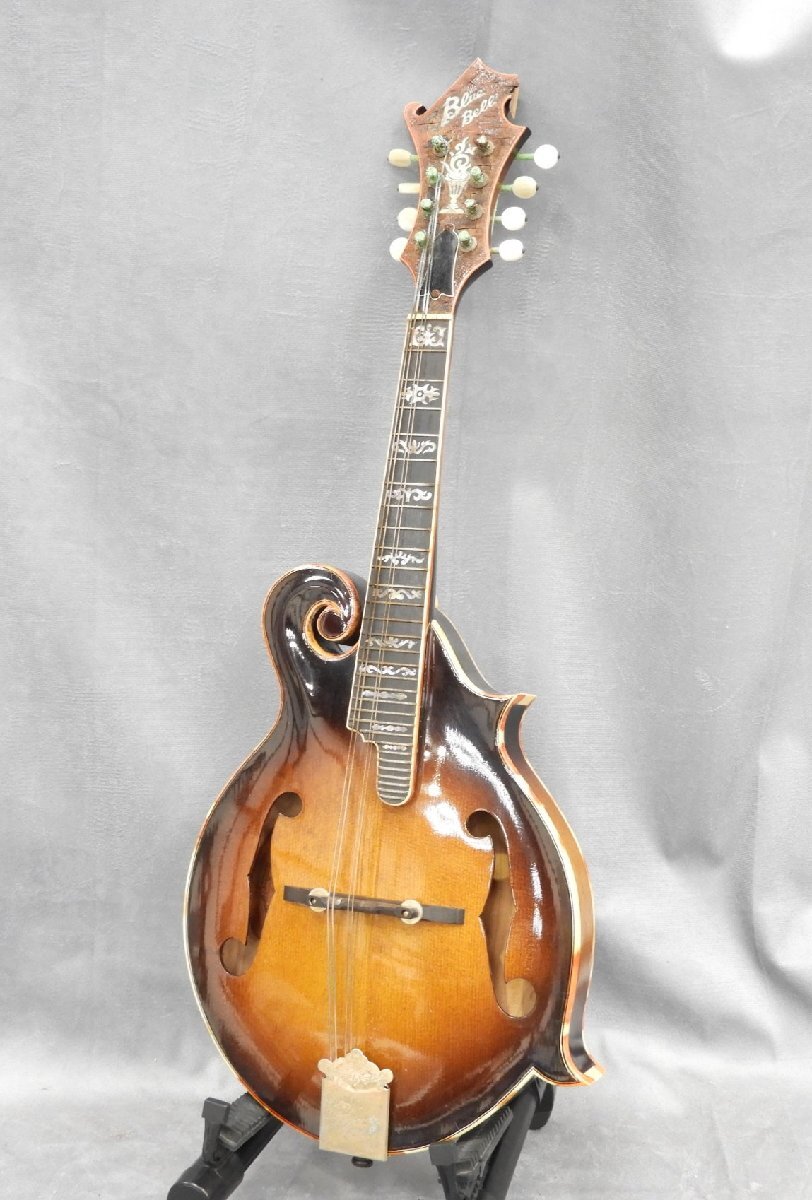 Yahoo!オークション -「bluebell」(マンドリン) (弦楽器)の落札相場