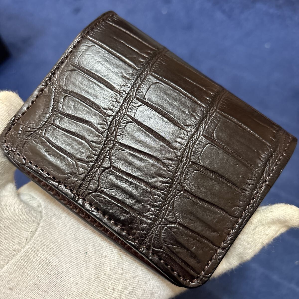 2026年最新】Yahoo!オークション -ワイルドスワンズ クロコダイルの