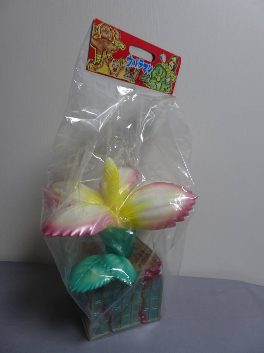 Yahoo!オークション -「m1号 マンモスフラワー」の落札相場・落札価格