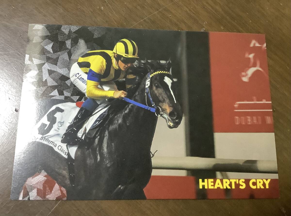 2026年最新】Yahoo!オークション -#ドバイシーマクラシックの中古品