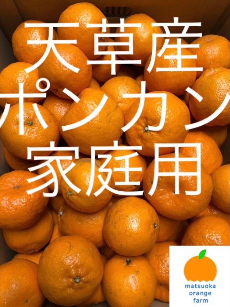 20 ポンカン 天草産 規格外 ご家庭用 箱込みで20kg以上 送料込み 箱は