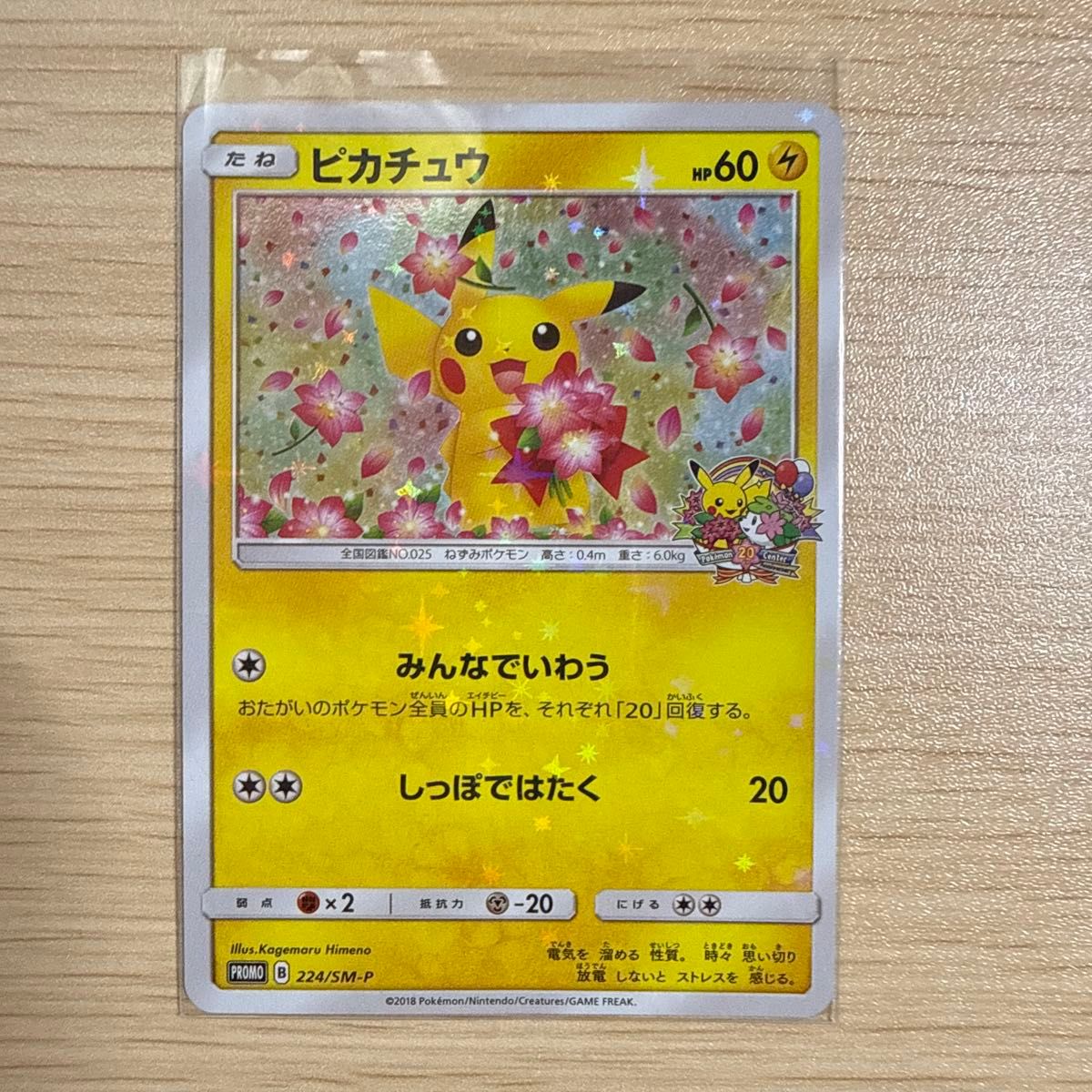 PSA10 お公家さまと舞妓はんピカチュウ ポケモンセンター京都 プロモ