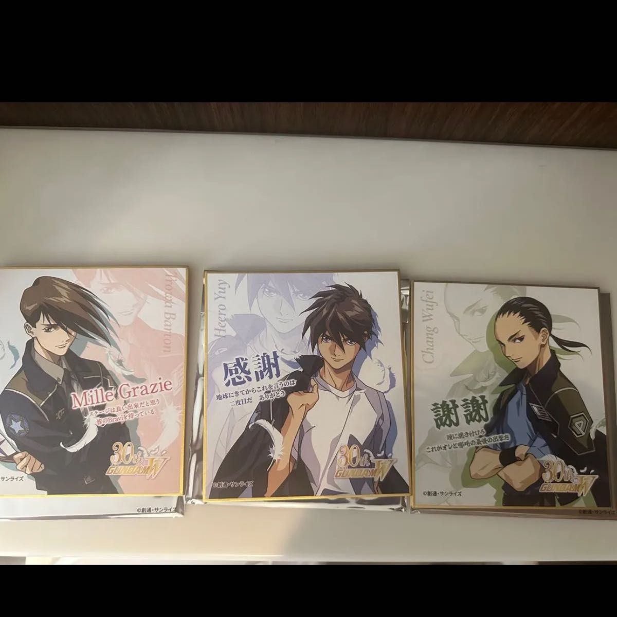 新機動戦記ガンダムW Endless Waltz特別篇 特典 色紙 全6種コンプ