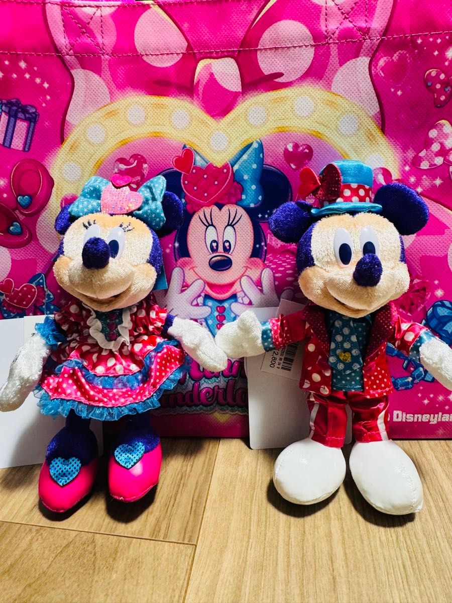 ぬいぐるみバッジ ミニーのファンダーランド パルパルーザ ミッキー