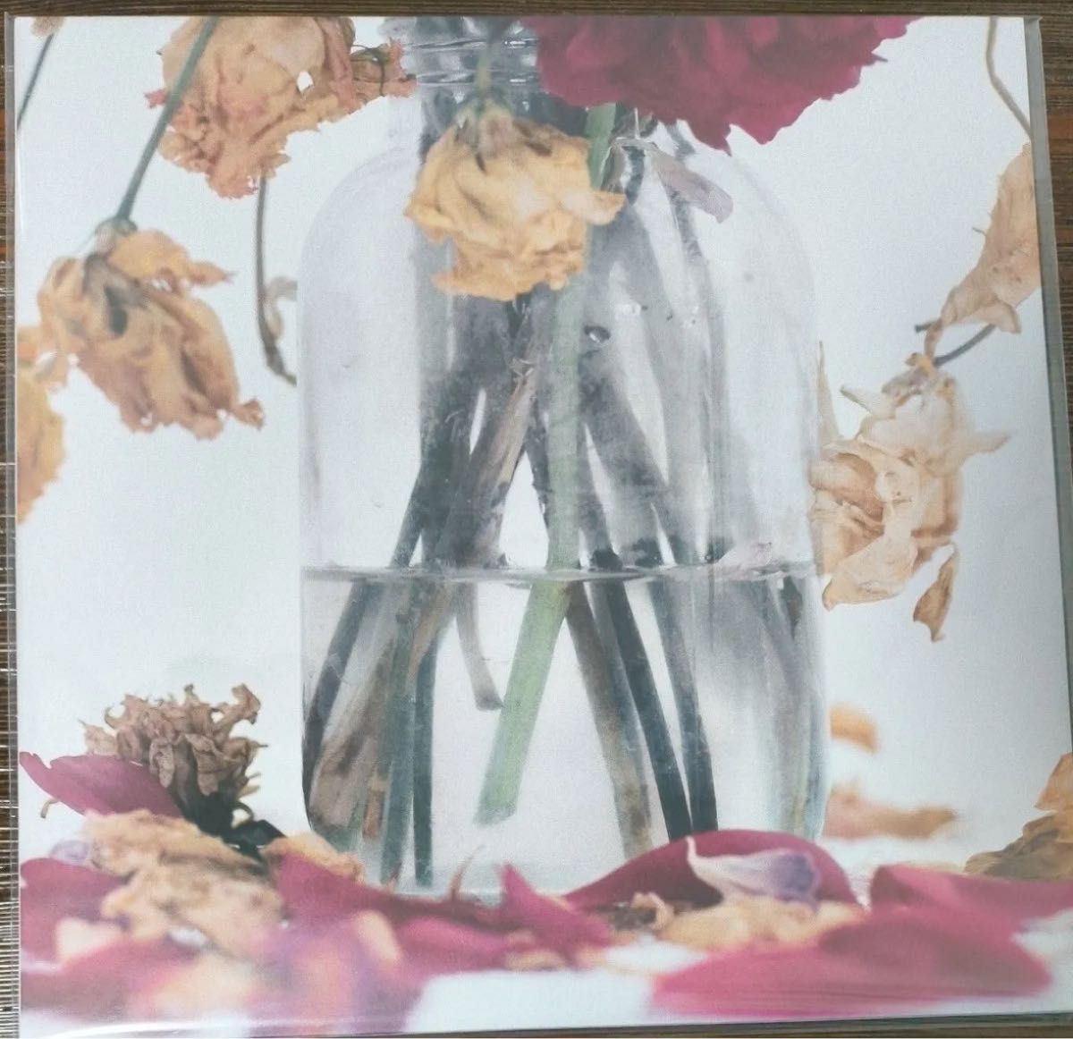 再値下げ 唾奇 武道館公演 会場先行販売 限定アナログレコード LP 限定