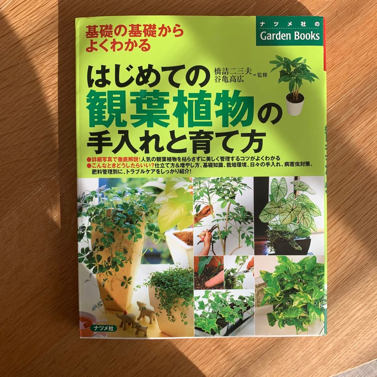 基礎の基礎からよくわかる はじめてのハーブ 手入れと育て方 ナツメ社