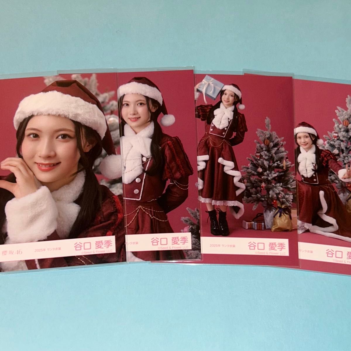 櫻坂46 2025年 サンタ 生写真 4種コンプ 谷口愛季｜Yahoo!フリマ（旧