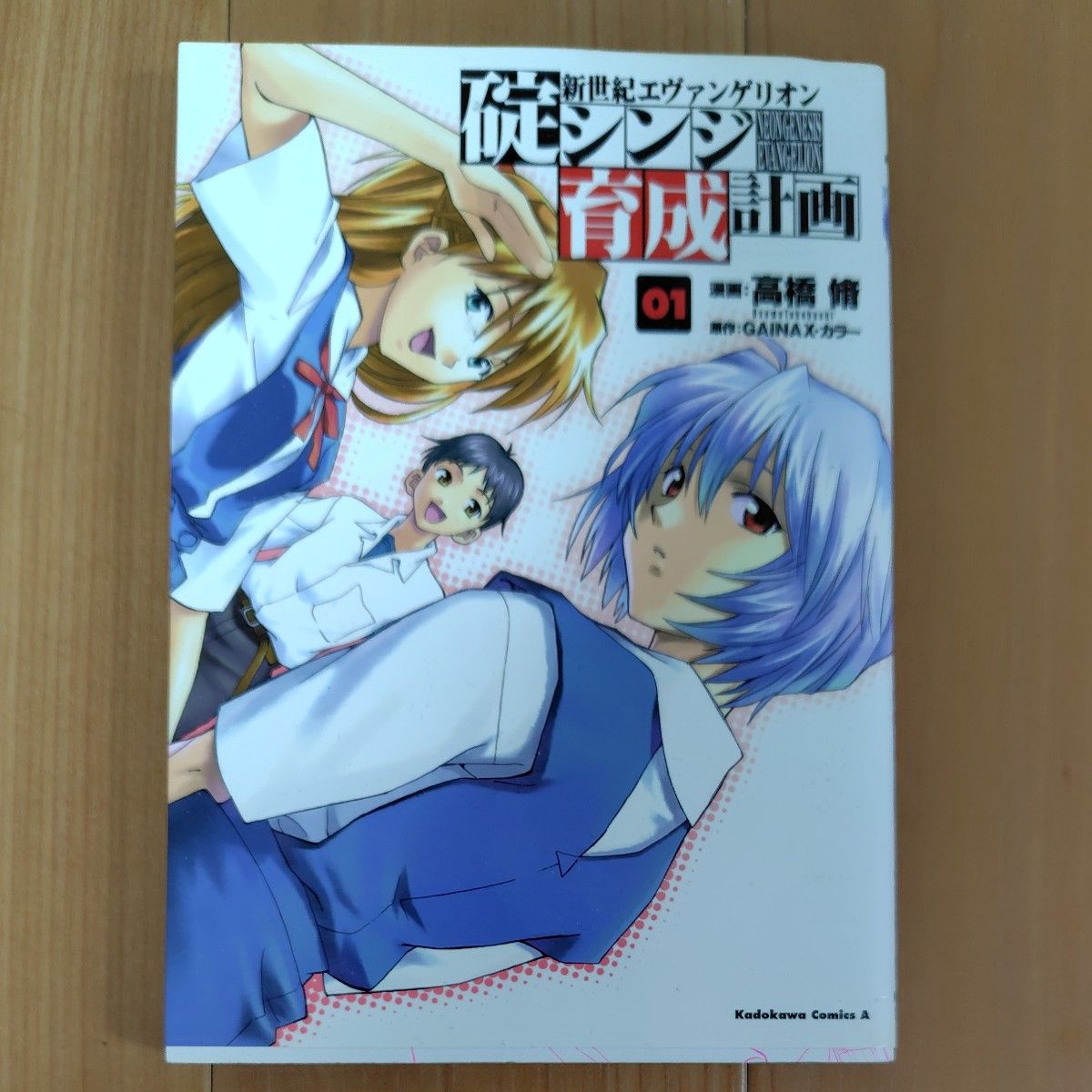 中古品『新世紀エヴァンゲリオン』1～12巻 & 碇シンジ育成計画 1～5 7