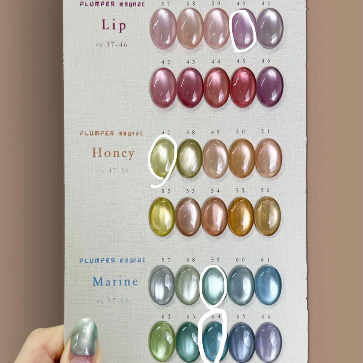 大人気 エノイ enoi マグネット プランパーマグ30色＋マロンマグ20色