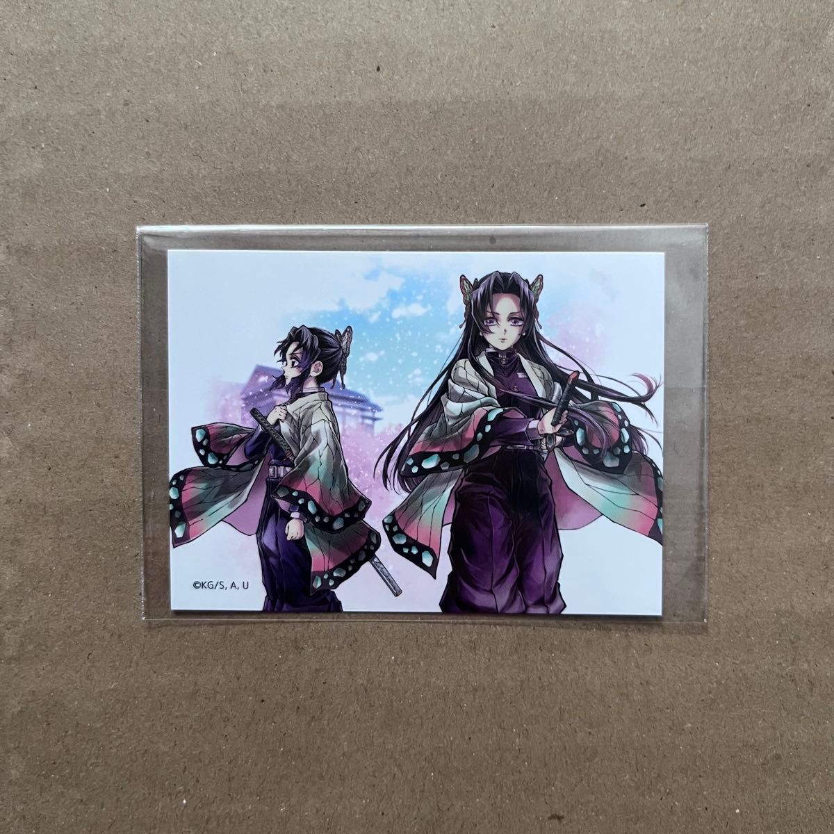 鬼滅の刃 胡蝶カナエ 胡蝶しのぶ ノーマル缶バッジ各1つセットC106