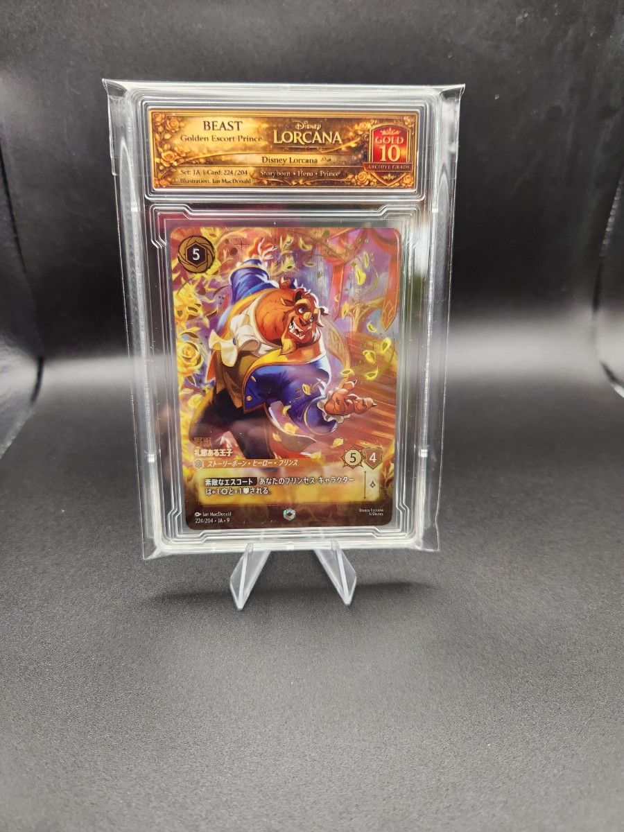 ダンボ 世界の七不思議 228/204 エンチャンテッド 物語のおもいで