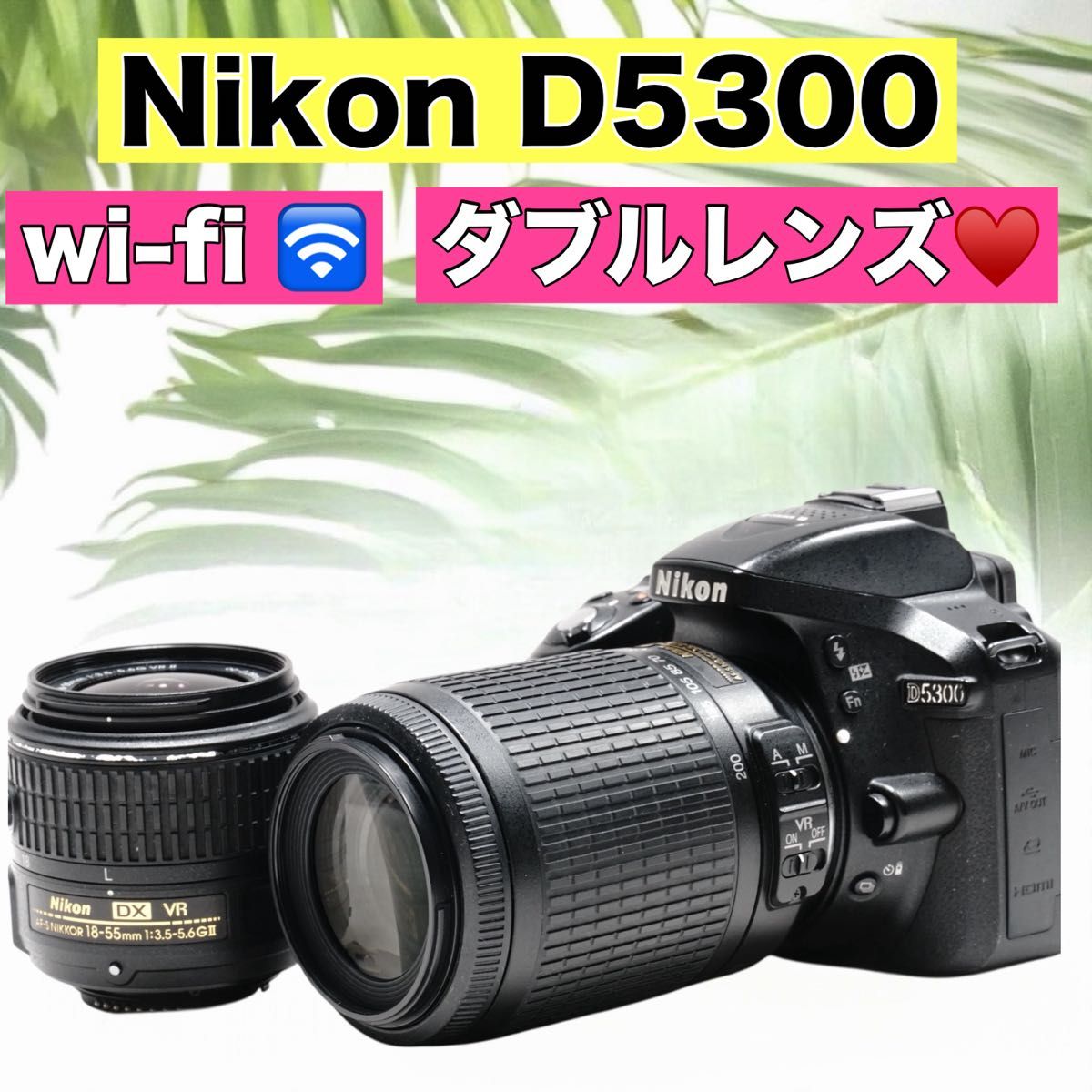 一眼デビューにオススメ Nikon D5000 手ぶれ補正搭載 一眼レフカメラ